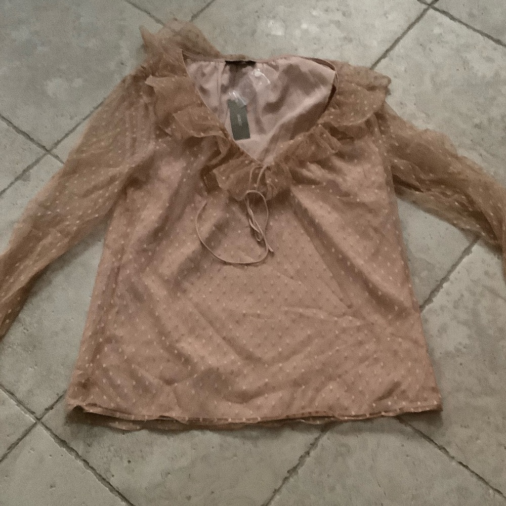 J. Crew Sheer Ruffled Party Blouse